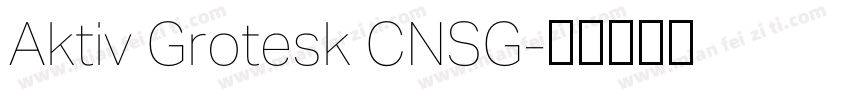 Aktiv Grotesk CNSG字体转换